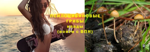 каннабис Алексеевка